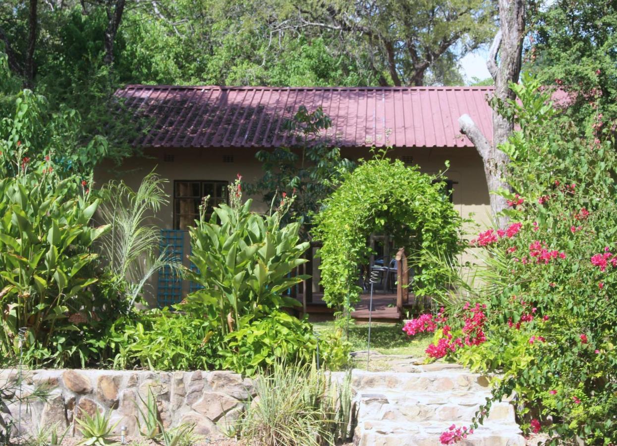Acacia Cottage Maun Dış mekan fotoğraf