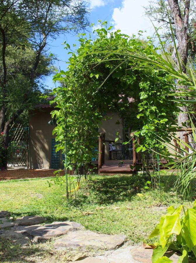 Acacia Cottage Maun Dış mekan fotoğraf